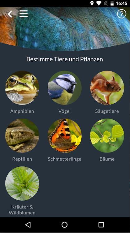 Tiere und Pflanzen erkennen mit der Naturblick App deutsch