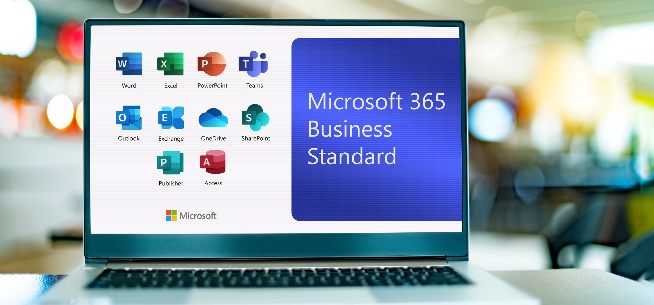 Microsoft Office 365 Business